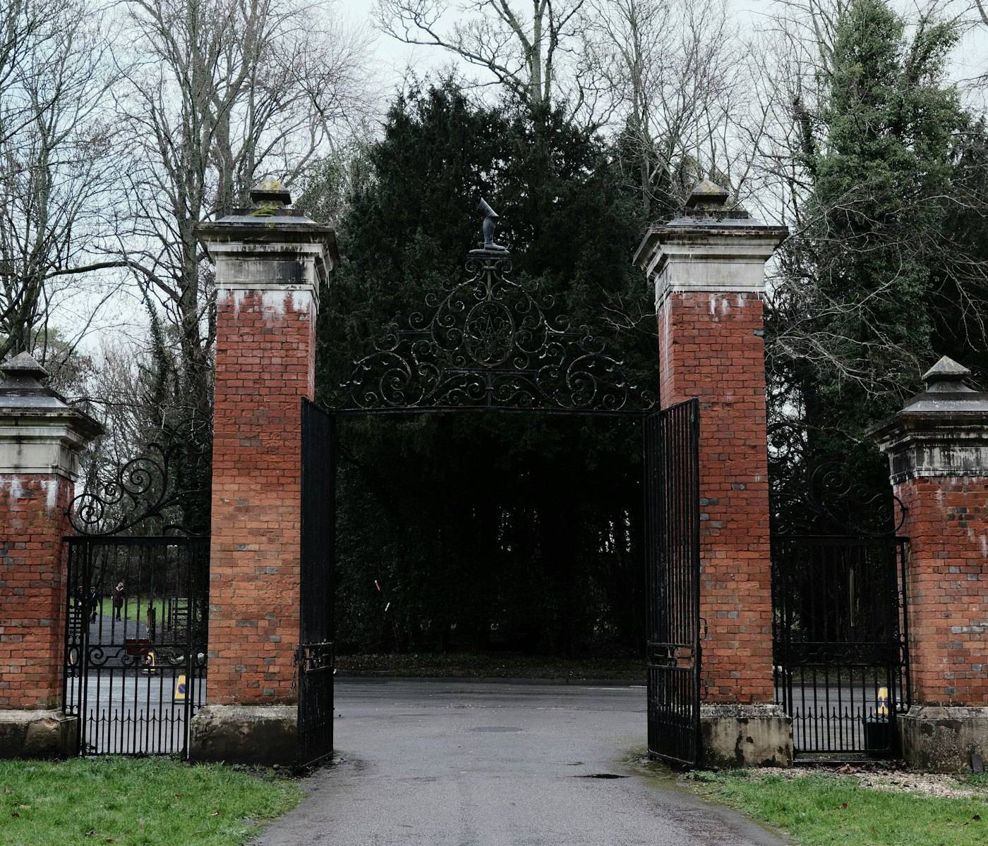 Ornate iron gates opening onto a tree-lined estate drive